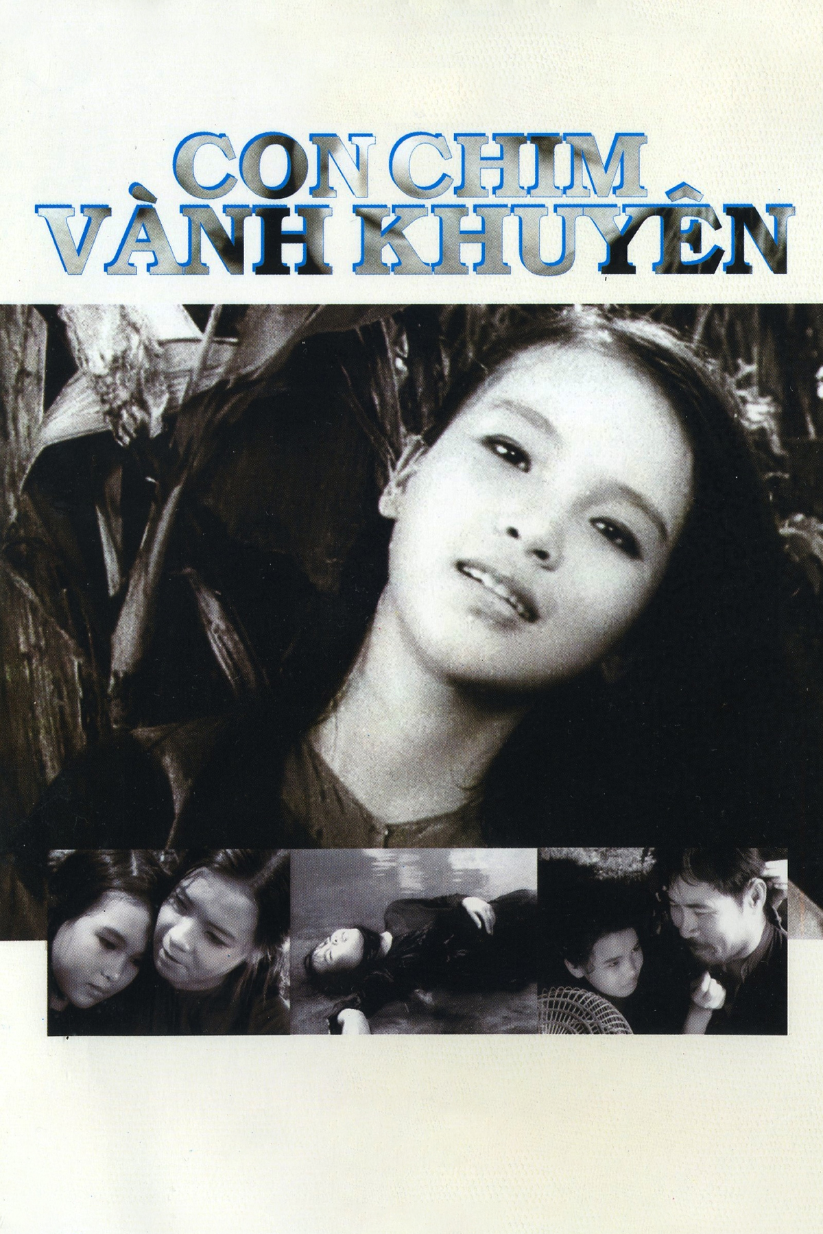 Poster phim Con Chim Vành Khuyên