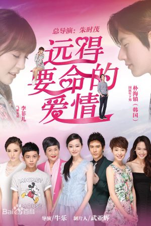 Poster phim Con Đường Hạnh Phúc