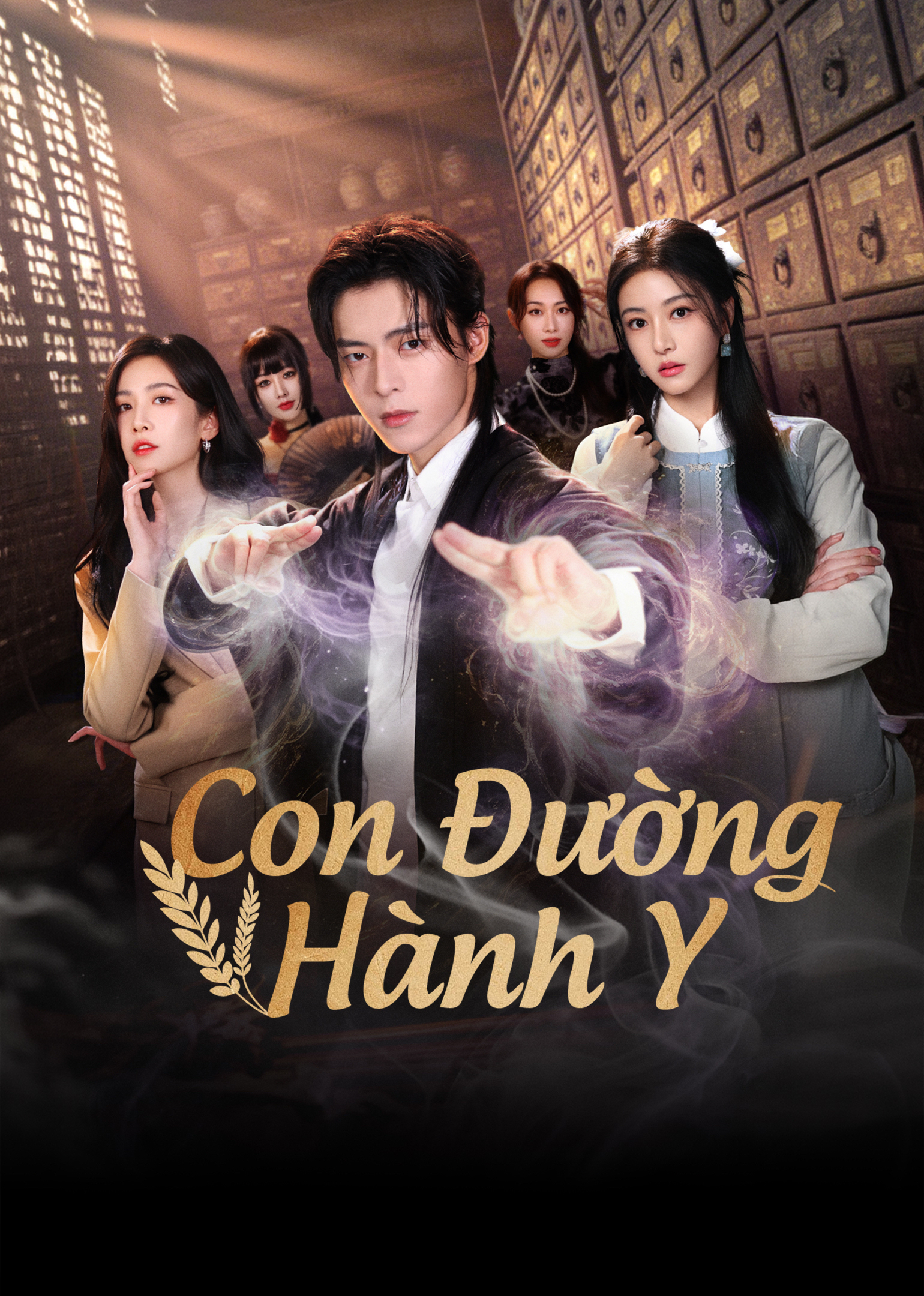 Poster phim Con Đường Hành Y