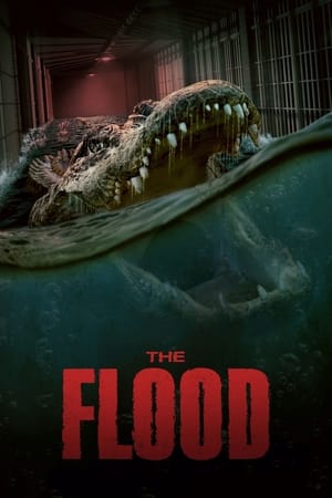 Poster phim The Flood