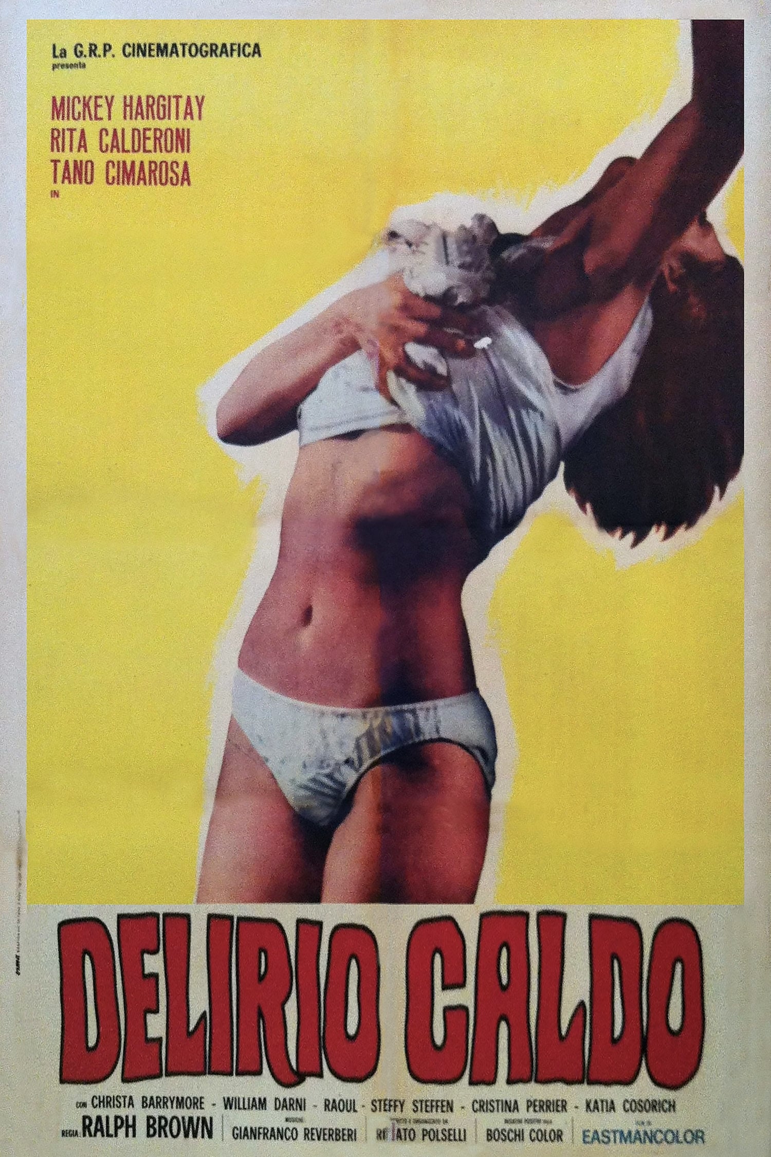 Poster phim Cơn Mê Nóng Bỏng