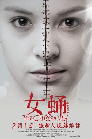 Poster phim Con Nhộng