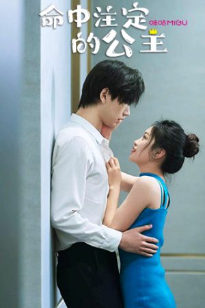 Poster phim Công Chúa Của Định Mệnh