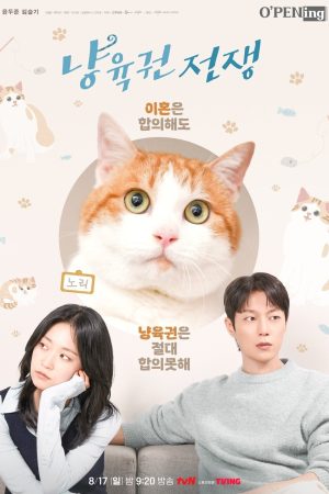 Poster phim Cuộc Chiến Giành Quyền Nuôi Mèo