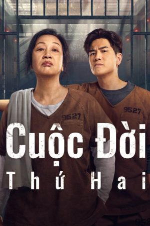 Poster phim Cuộc đời thứ 2