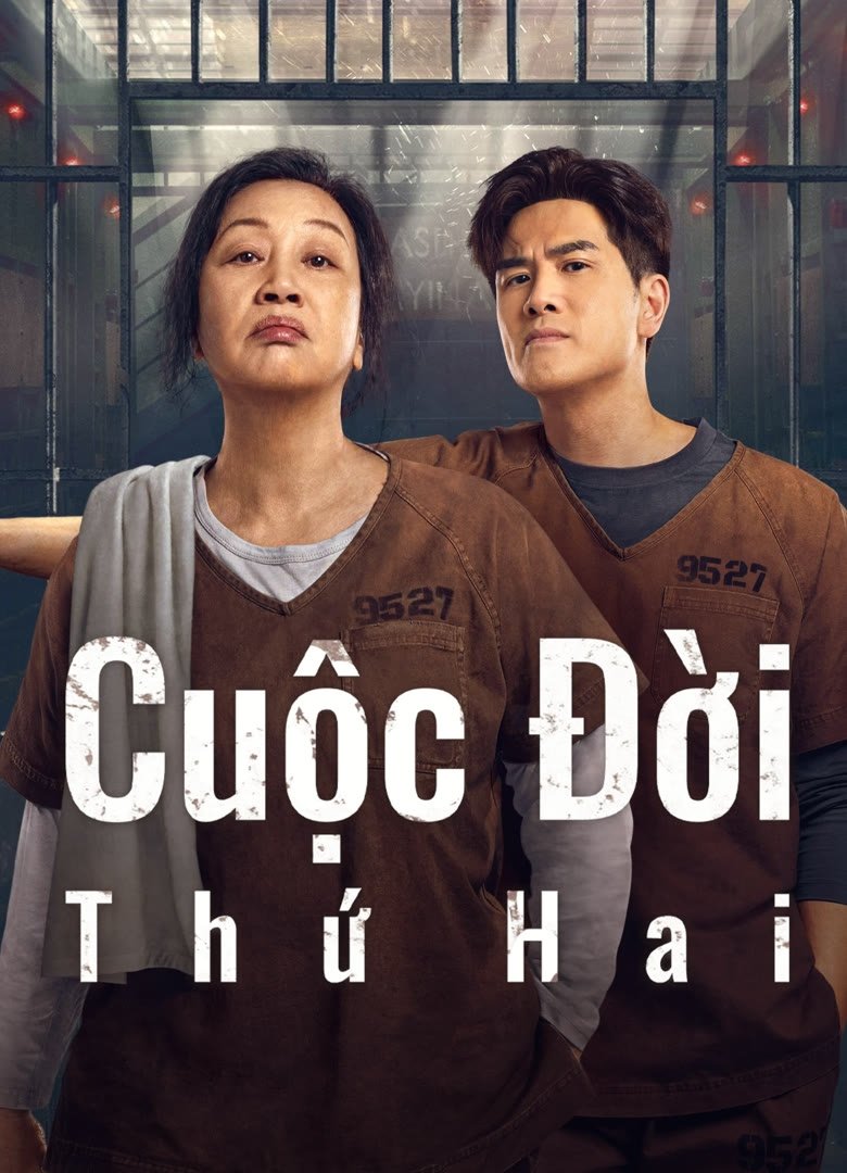 Poster phim Cuộc đời thứ 2