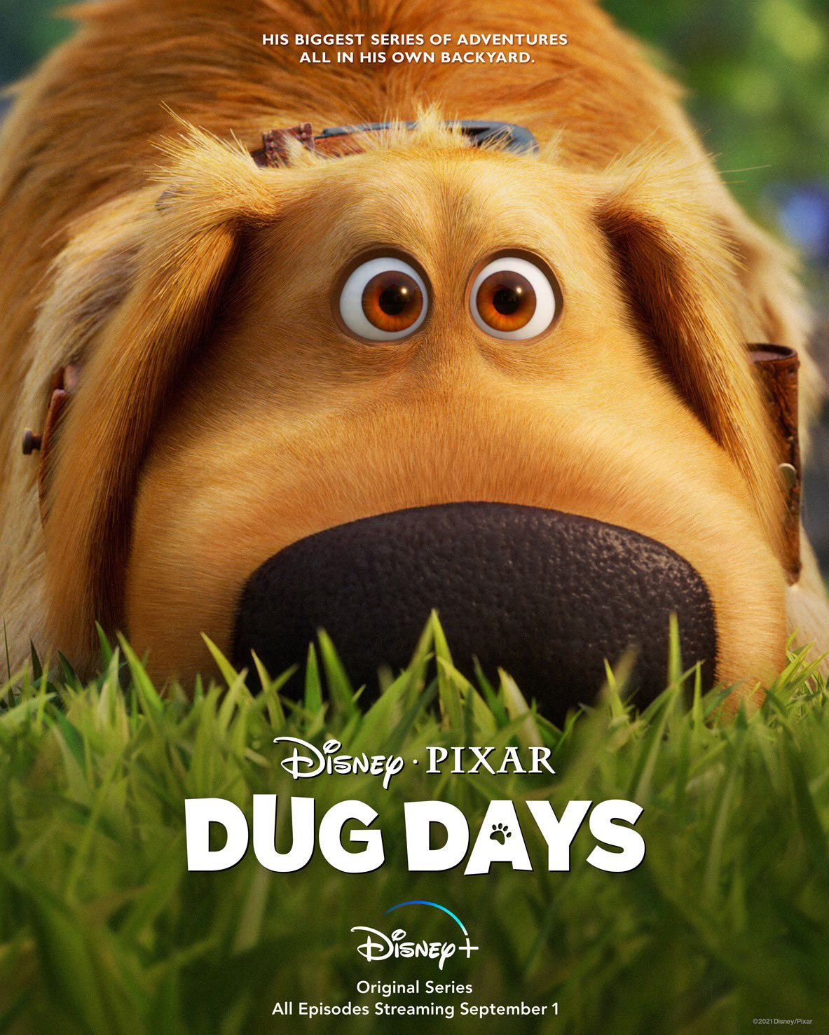 Poster phim Cuộc Phiêu Lưu Của Dug