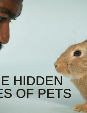 Poster phim The Secret Life of Our Pets