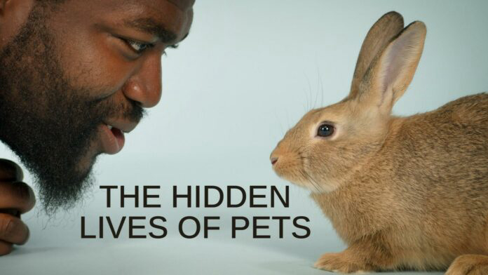 Poster phim The Secret Life of Our Pets