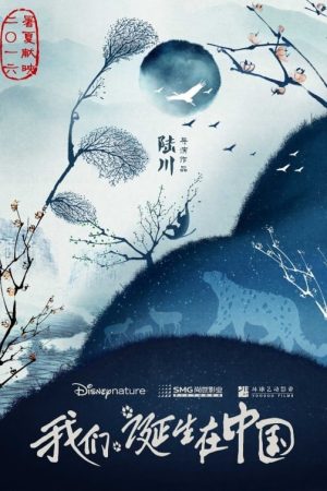 Poster phim Cuộc Sống Hoang Dã Ở Trung Quốc