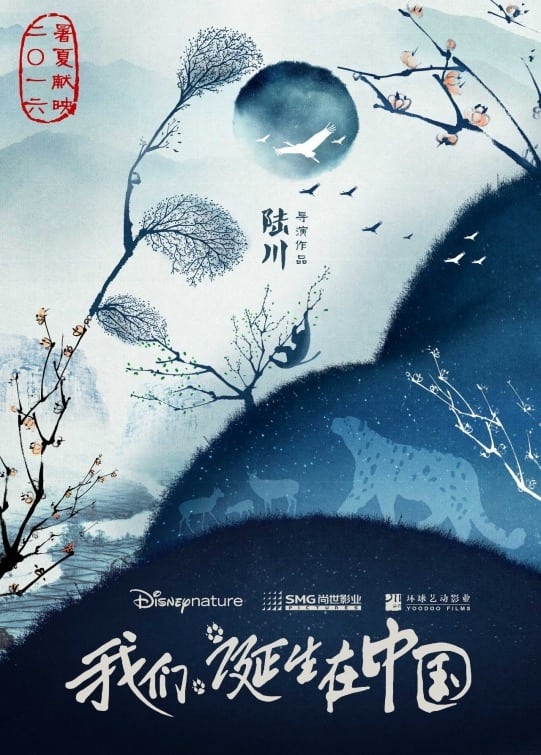 Poster phim Cuộc Sống Hoang Dã Ở Trung Quốc