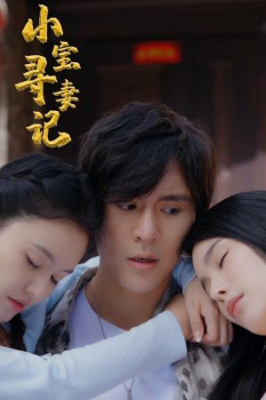 Poster phim Cuộc Tìm Vợ Của Tiểu Bảo