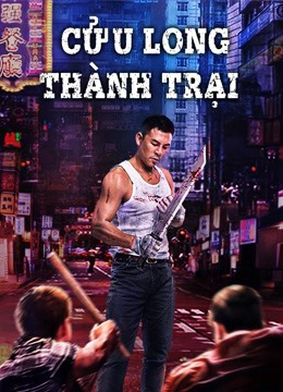 Poster phim Cửu Long Thành Trại