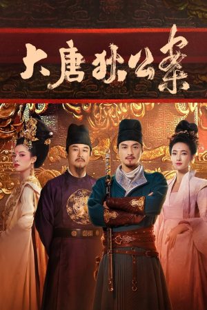 Poster phim Đại Đường Địch Công Án