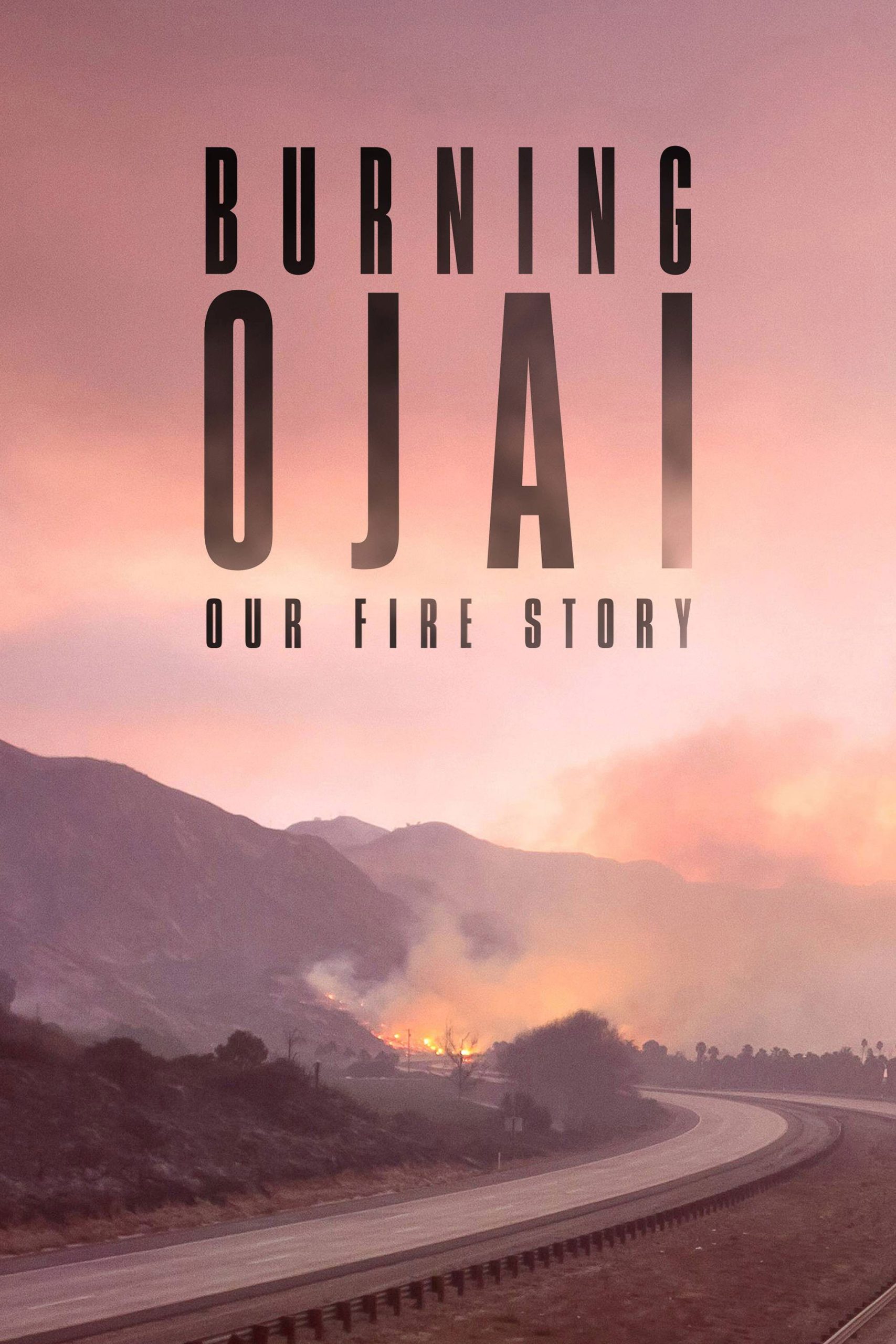 Poster phim Đám Cháy Ở Thung Lũng Ojai