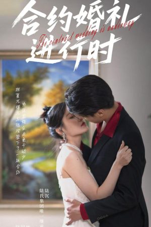 Poster phim Đám Cưới Hợp Đồng Đang Diễn Ra