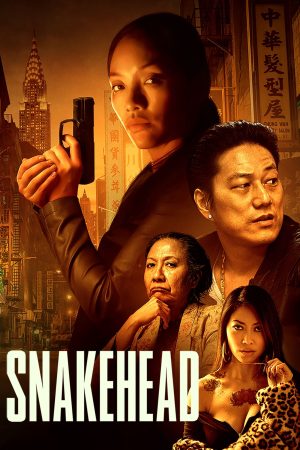 Poster phim Đầu Rắn