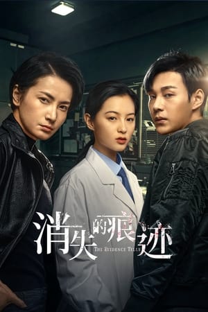 Poster phim Dấu Vết Biến Mất