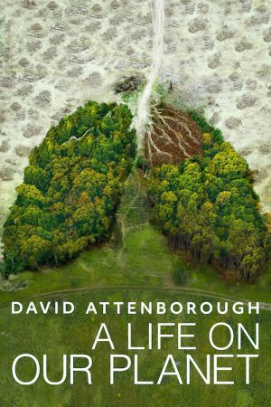 Poster phim David Attenborough: Một cuộc đời trên Trái Đất