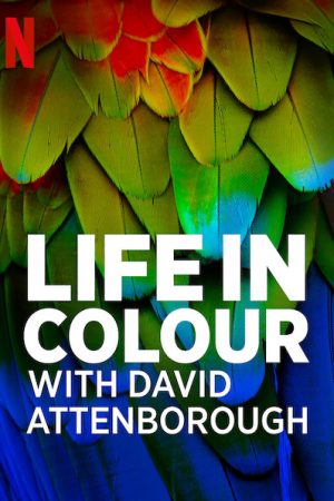 Poster phim David Attenborough: Sự sống đầy màu sắc