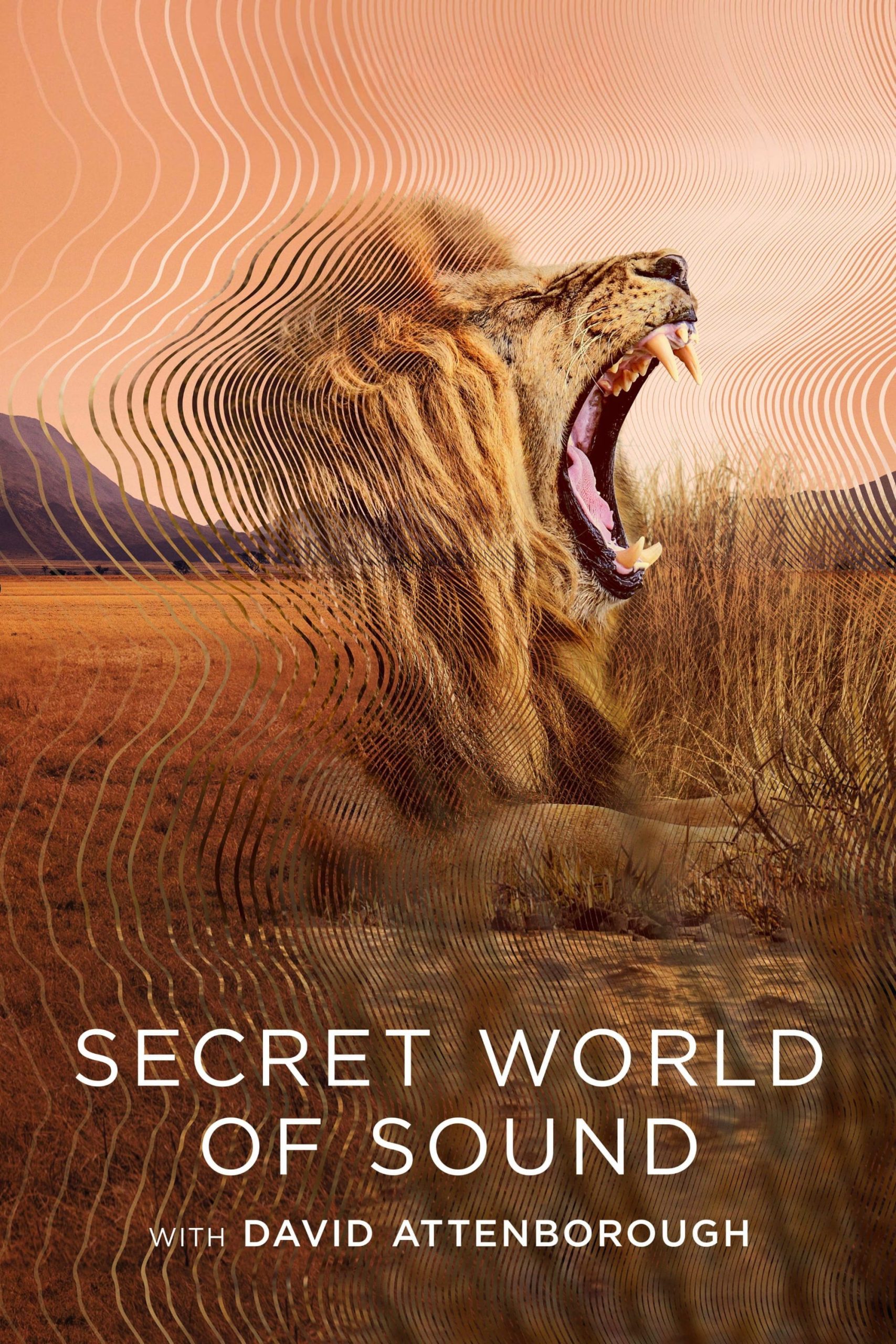 Poster phim David Attenborough: Thế giới bí mật của âm thanh