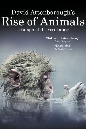 Poster phim David Attenborough’s Rise of Animals: Triumph of the Vertebrates