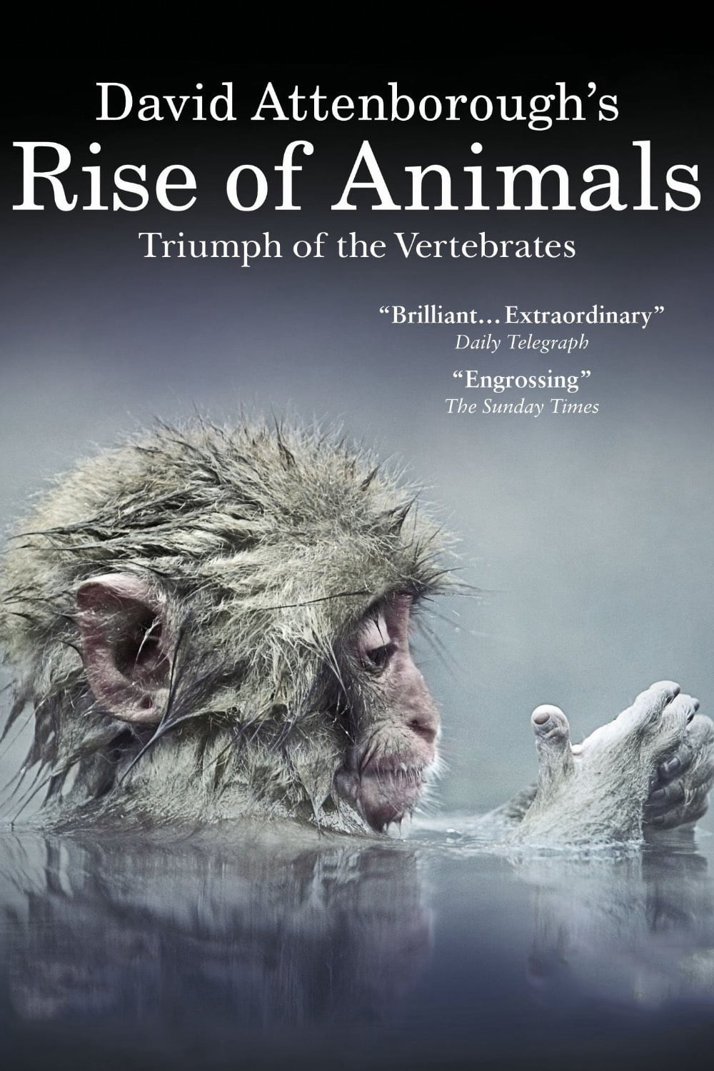 Poster phim David Attenborough’s Rise of Animals: Triumph of the Vertebrates
