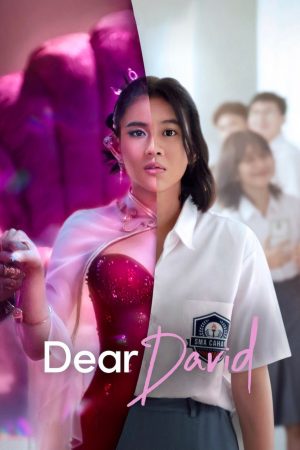 Poster phim Dear David