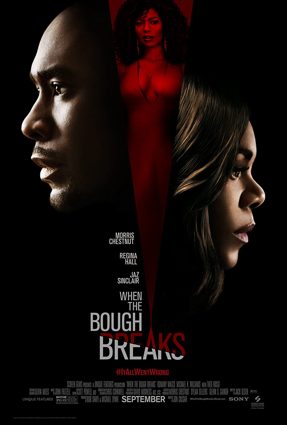 Poster phim Đẻ thuê