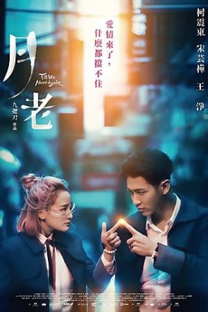 Poster phim Đến Khi Ta Gặp Lại