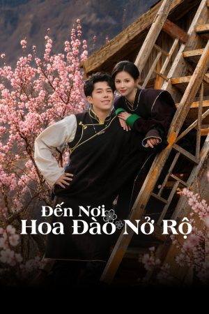 Poster phim Đi Đến Nơi Hoa Đào Nở Rộ
