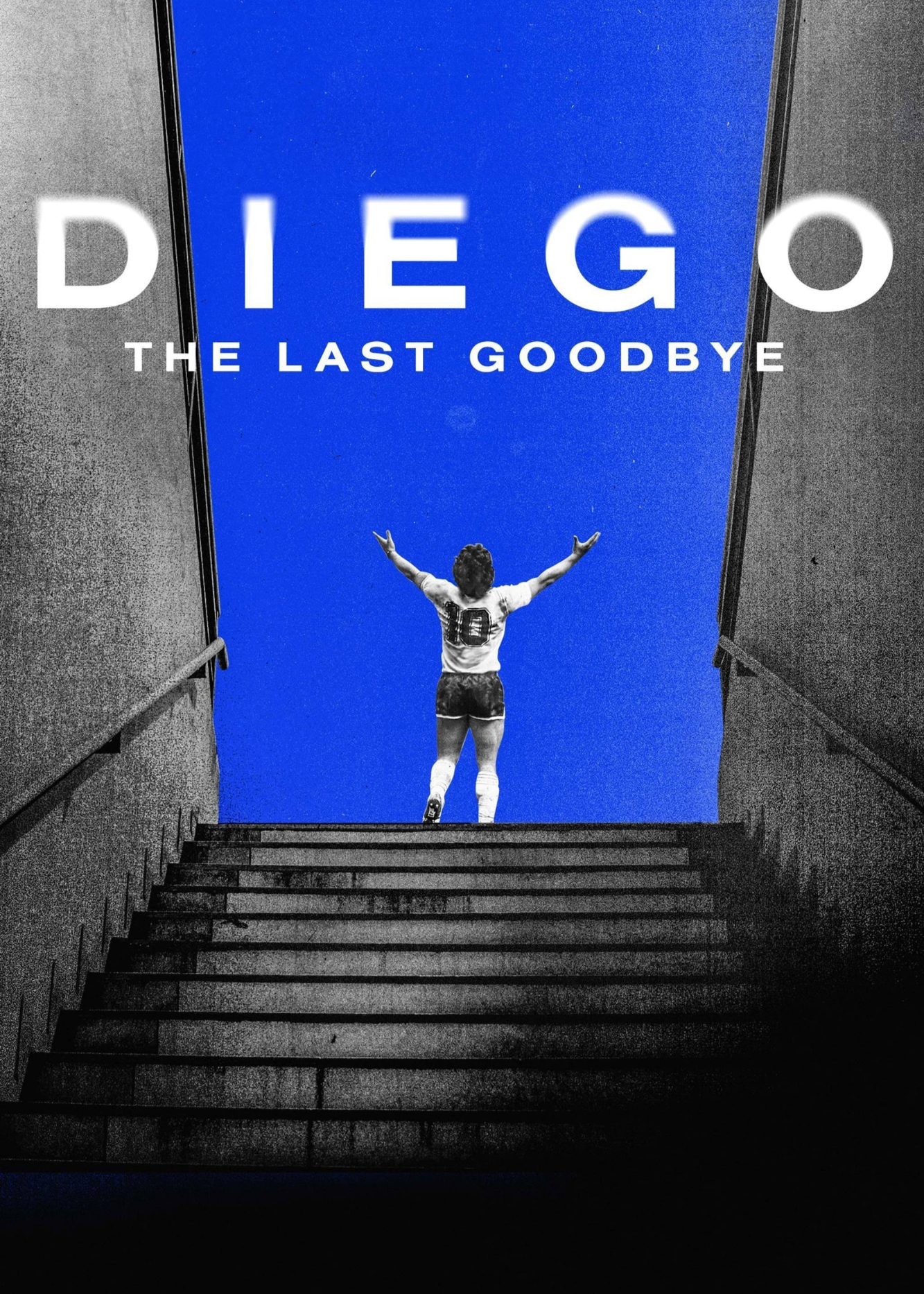 Poster phim Diego: The Last Goodbye