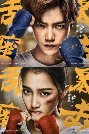Poster phim Điềm Mật Bạo Kích