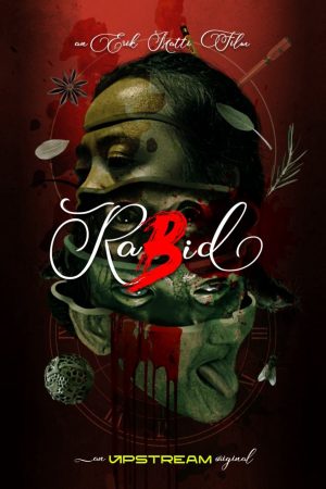 Poster phim Điên rồ