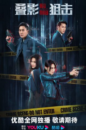 Poster phim Điệp ảnh thư kích