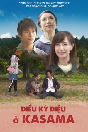 Poster phim Điều kỳ diệu ở Kasama