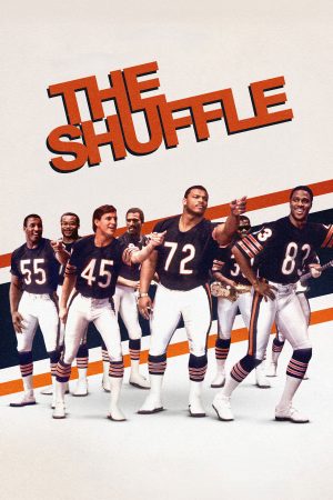 Poster phim Điệu Shuffle