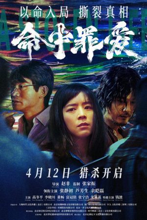 Poster phim Định Mệnh Tình Yêu