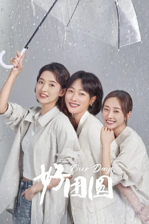Poster phim Đoàn Viên