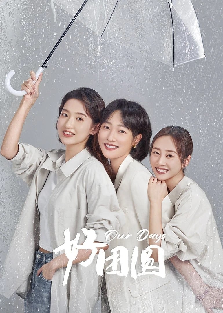 Poster phim Đoàn Viên