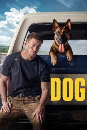 Poster phim Dog