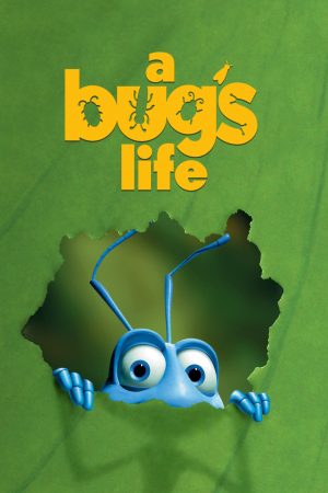 Poster phim Đời Con Bọ
