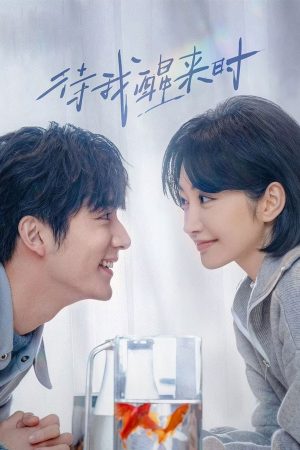 Poster phim Đợi Khi Tôi Tỉnh Lại