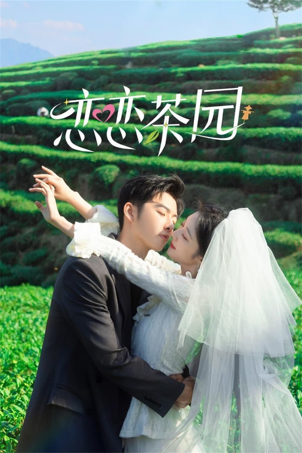 Poster phim Đồi Trà Tình Yêu