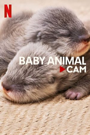 Poster phim Động vật bé cưng trên camera