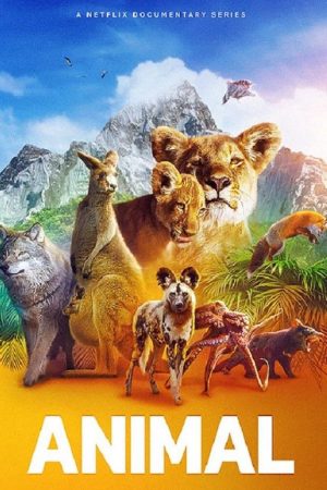 Poster phim Động Vật (Phần 2)