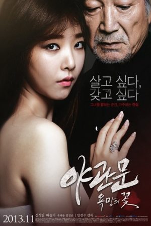 Poster phim Door to the Night