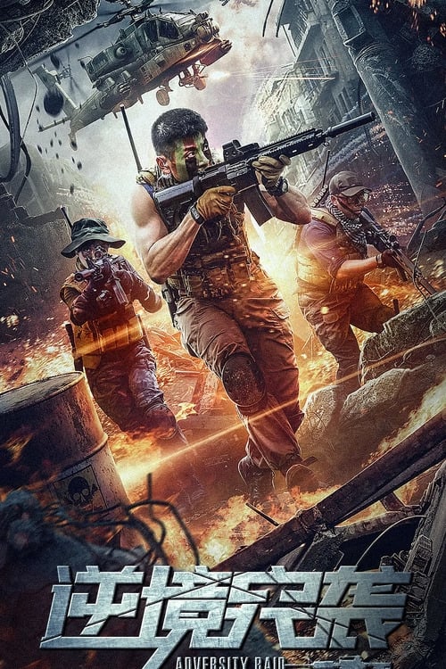 Poster phim Đột kích nghịch cảnh