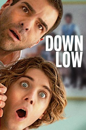 Poster phim Down Low