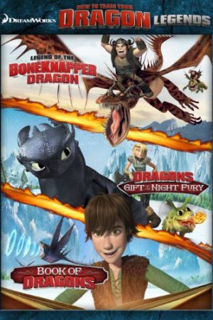 Poster phim DreamWorks: Huyền thoại bí kíp luyện rồng